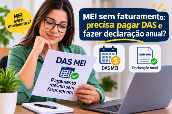 MEI sem faturamento organizando o pagamento do DAS e a declaração anual DASN-SIMEI